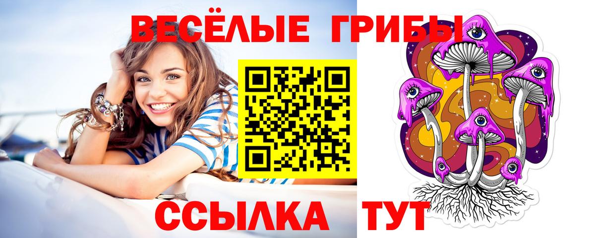 Александров  Галлюциногенные грибы мицелий  Вход с VPN 