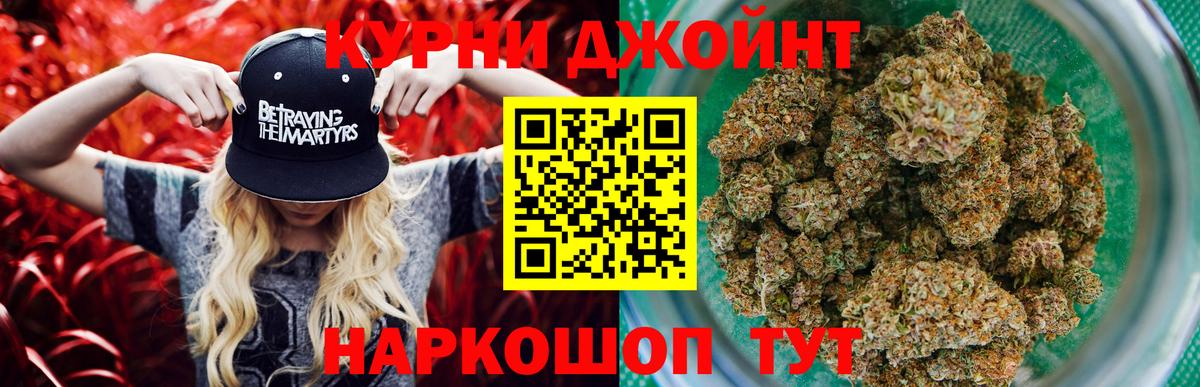 Шишки марихуана семена  Вход с VPN  Марихуана OG Kush  Каннабис план  Александров 